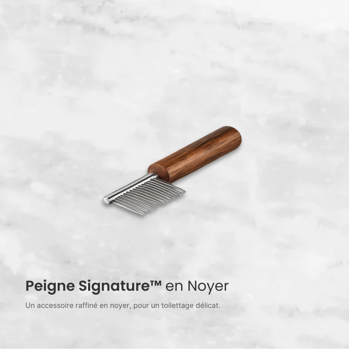 Peigne Signature™ en Noyer